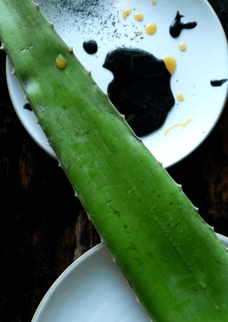 all that and the kitchen sink