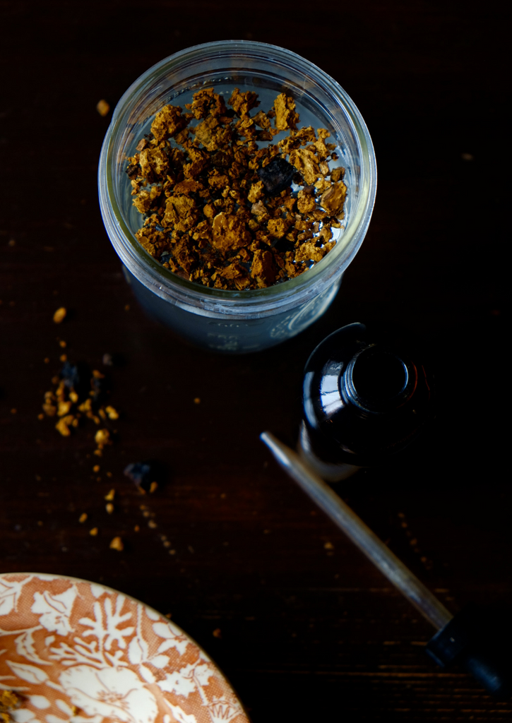 maine: hiking, chaga and gnome homes