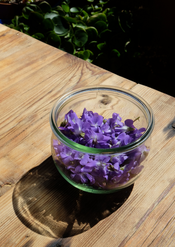 sweet violet honey syrup