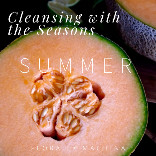 CLEANSING WITH THE SEASONS – SUMMER INTEGRATIVE E-COURSE